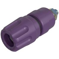 SKS Hirschmann PKI 10 A Poolklem Violet 35 A 1 stuk(s) - thumbnail