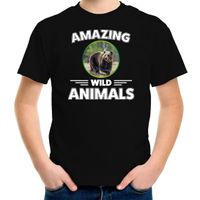 T-shirt beren amazing wild animals / dieren zwart voor kinderen