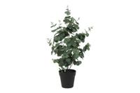 Decostar Eucalyptus kunstplant 65 cm groen