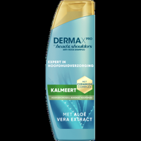 DermaXPro by Head & Shoulders Kalmeert Antiroos shampoo 250ml met aloe vera bij Jumbo