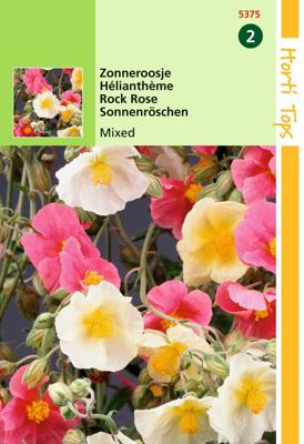Helianthemum Mutabile Gemengd - Hortitops