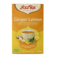 Ginger lemon munt bio 17 Zakjes