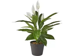 Kunst lepelplant 'spathiphyllum' met pot - h60cm