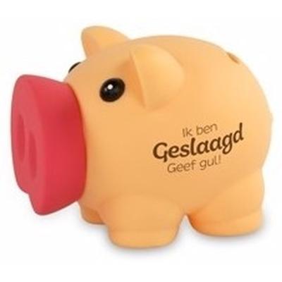 Spaarvarken Diploma geslaagd thema - 10 x 9 cm - kunststof - cadeau - afgestudeerd
