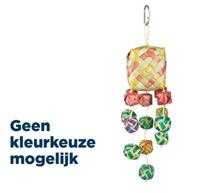 BACK ZOO NATURE SURPRISE BOXES