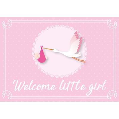 Welcome little girl ansichtkaart - wenskaart - geboorte - geboren - kraamcadeau - A5 - roze