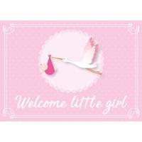 Welcome little girl ansichtkaart - wenskaart - geboorte - geboren - kraamcadeau - A5 - roze