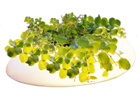 Velda Floating Pond Light - thumbnail