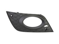 Ventilatiegrille, bumper 6502073538920P