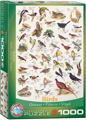 Birds (1000 Stukjes) - Puzzel;Puzzel (0628136612593)
