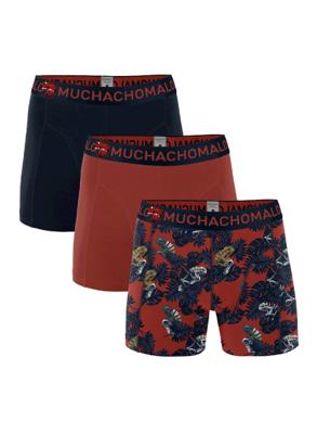 Boys 3-pack short Voxho