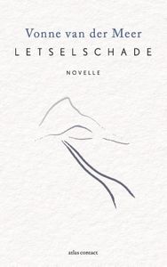 Letselschade - Vonne van der Meer - ebook