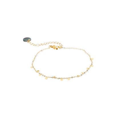 Go Dutch Label Armband met Kleine Muntjes Goud