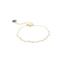 Go Dutch Label Armband met Kleine Muntjes Goud