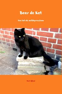 Beer de Kat - Mark Nijland - ebook