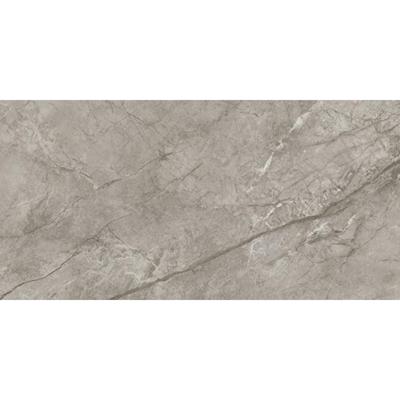 Atlas Concorde Marvel Meraviglia AJIT vloertegel 60x120cm 9mm mat ret.R10 silver maj.