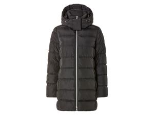 esmara Dames winterjas (S (36/38), Zwart)