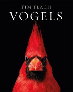 Vogels (Hardback)
