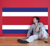 Muursticker vlag Costa Rica
