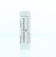 Homeoden Heel Echinacea angustifolia D6 6 Gram