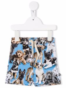 Molo short à imprimé chiens - Bleu