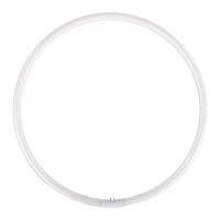 Falcon eyes reserve ringlamp voor flc-55 55w