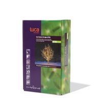 Luca Connect XP clear 50 lampjes 5m extra