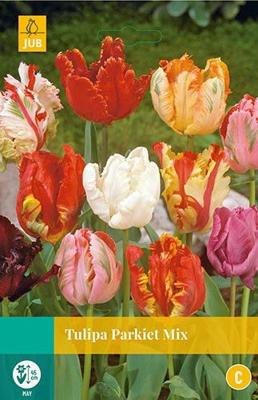 Tulipa Parkiet mix 5 bollen - Jub