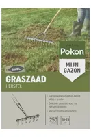 Pokon Grasz herstel 250g - thumbnail