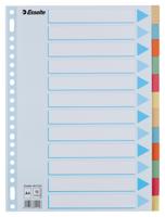 Tabbaden esselte premium a4 12dlg karton 23r ass