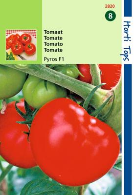 Tomaten Pyros F1 - Hortitops