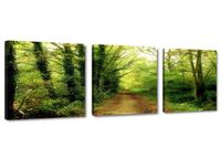 Schilderij - Natuur Pad Bomen, Groen, 150X50cm, 3luik - thumbnail