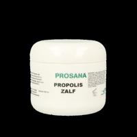 Propolis zalf 100 Milliliter