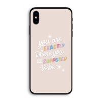 Right Place: iPhone X Biologisch afbreekbaar hoesje