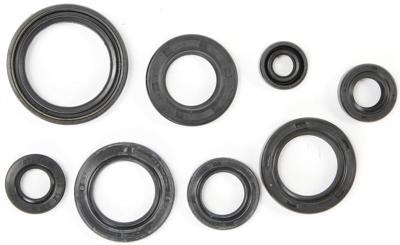 ATHENA Motor-keerring set motorshield ns 125 r,