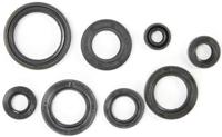 ATHENA Motor-keerring set motorshield ns 125 r,