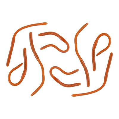 Nep regenwormen 8 cm - bruin - 8x - sticky - Horror/griezel thema