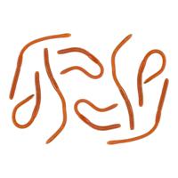 Nep regenwormen 8 cm - bruin - 8x - sticky - Horror/griezel thema