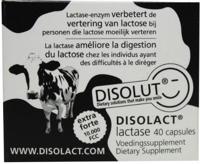 Disolact (lactase) extra forte 40ca 40ca - thumbnail