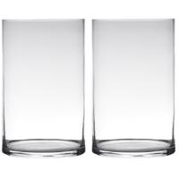 Hakbijl Glass cilinder Bloemenvaas - Set van 2x stuks - glas - transparant - D19 x H40 cm - Bloemen/