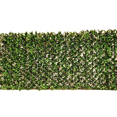 Willow Fence uitvouwbaar 100x200 cm - Buitengewoon de boet