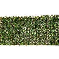Willow Fence uitvouwbaar 100x200 cm - Buitengewoon de boet