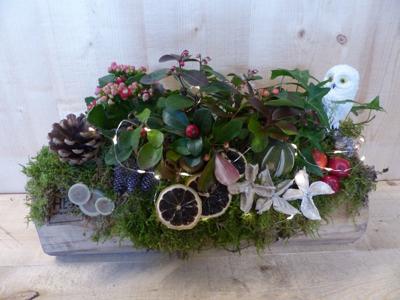 Plantenbak met planten en deco in boomstronk met verlichting - Warentuin natuurlijk