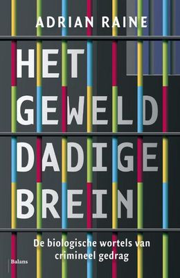 Het gewelddadige brein - Adrian Raine - ebook