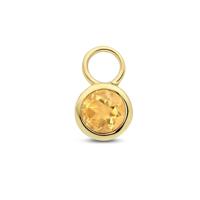 14K Geelgouden Oorringhanger November Geboortesteen 8,5x6mm - Per Stuk