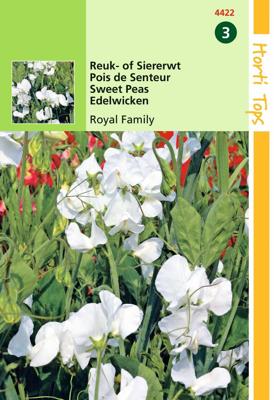 Lathyrus Odor. Royal Family Wit - Hortitops