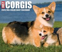 Welsh Corgi Scheurkalender 2026 Boxed