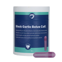 Excellent Black Garlic Bolus Kalf