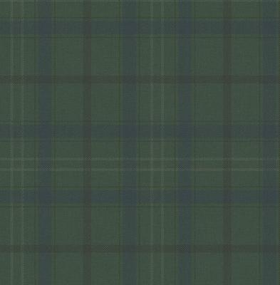 Dutch Wallcoverings Sauvage Ruit - Groen/Blauw