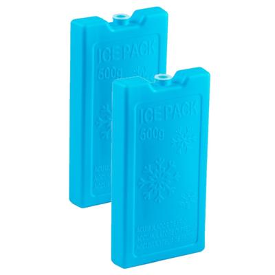 Plasticforte Koelelementen - 2x stuks - 500 grams - 20 x 10 cm - blauw - kunststof